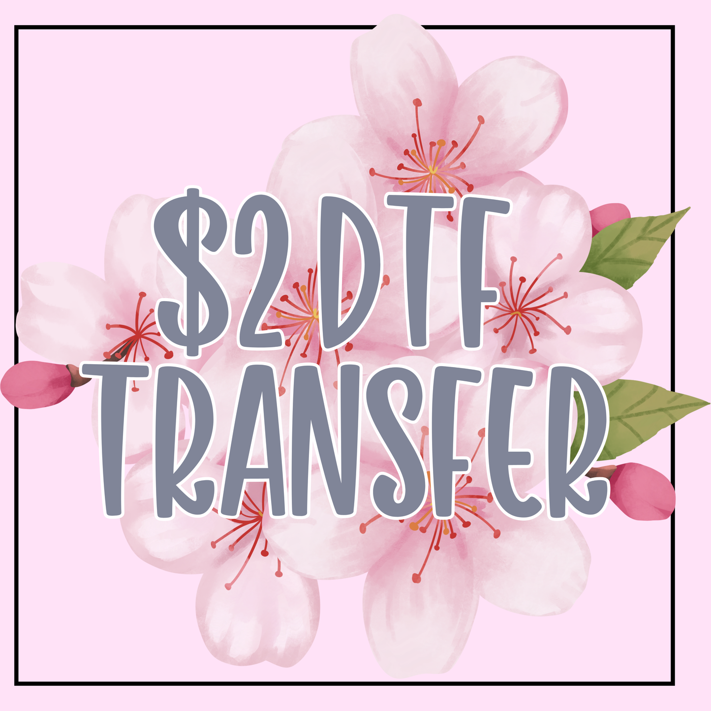 $2 Transfer Sale