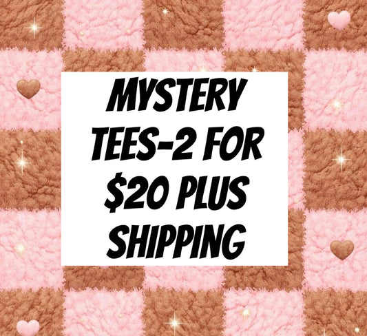 Mystery Tees -2 for $20 +shipping